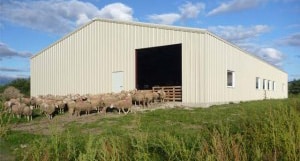 Top 5 Benefits of Steel Farm Buildings 3 Prefabricated Steel Farm Buildings