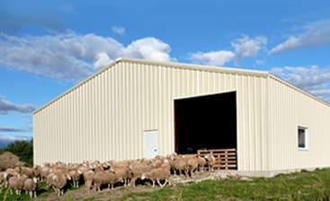 Advantages of Pre-Fabricated Steel Agricultural Storage 5 Advantages of Pre-Fabricated Steel Agricultural Storage