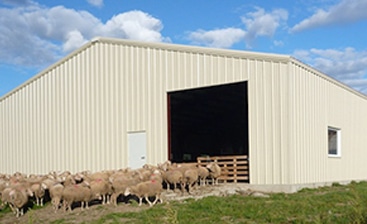 Is Steel the Best Choice for Agricultural Buildings? 5 Is Steel the Best Choice for Agricultural Buildings?