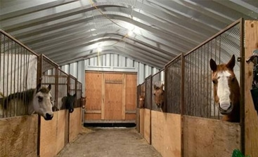 Usage of Farm Buildings