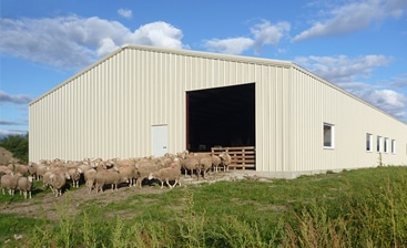 Steel Farm Buildings vs Wooden Buildings: Combating Mold & Fungus 3 Steel Farm Buildings vs Wooden Buildings: Combating Mold & Fungus