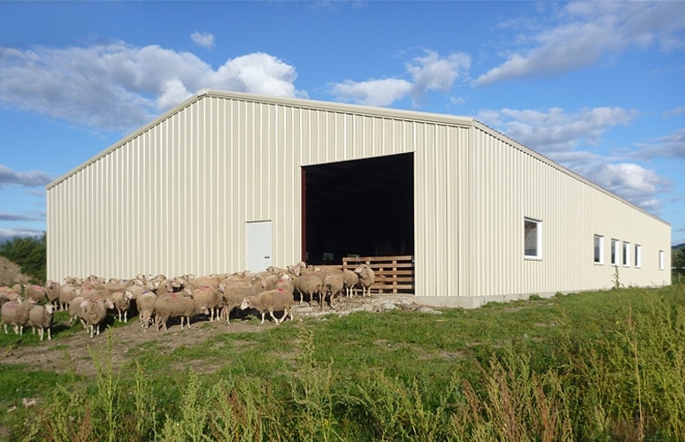 how-to-keep-your-steel-farm-building-cool-in-summer-f How to Keep Your Steel Farm Building Cool in Summer