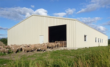 How to Keep Your Steel Farm Building Cool in Summer 4 How to Keep Your Steel Farm Building Cool in Summer