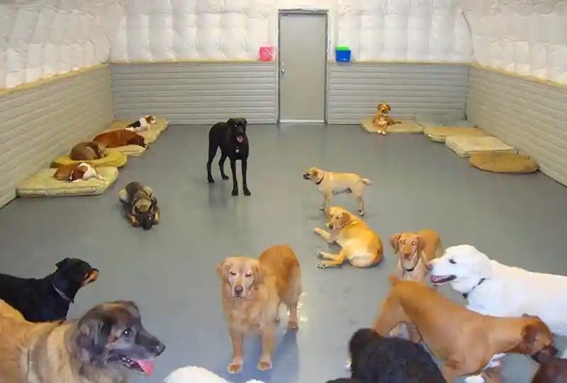 Small Business Shops 7 Small Business Shops